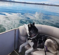Rented boat from Nautical Water Sports