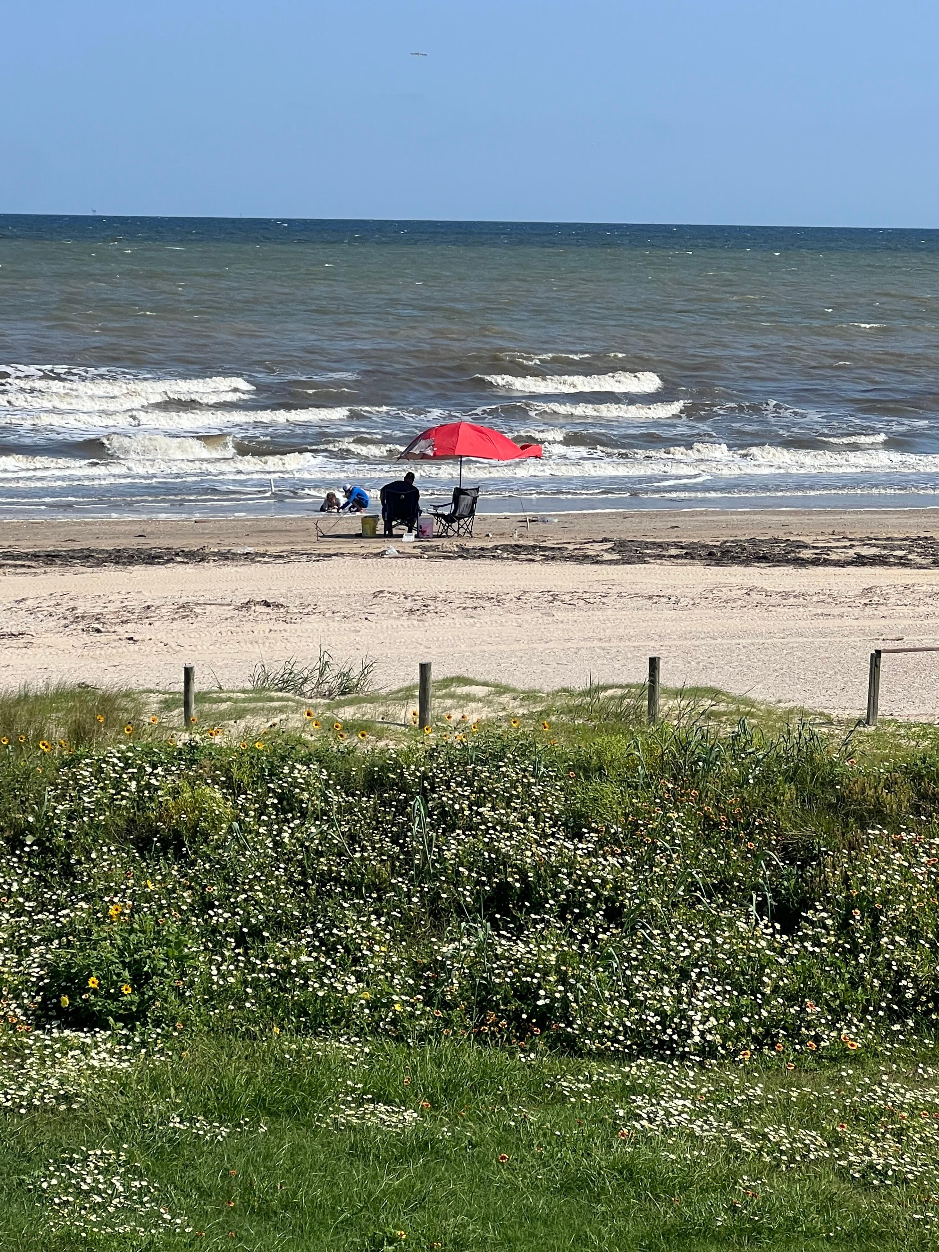 Our view of the beach from the porch. 