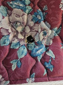 Hole in mattresses #1