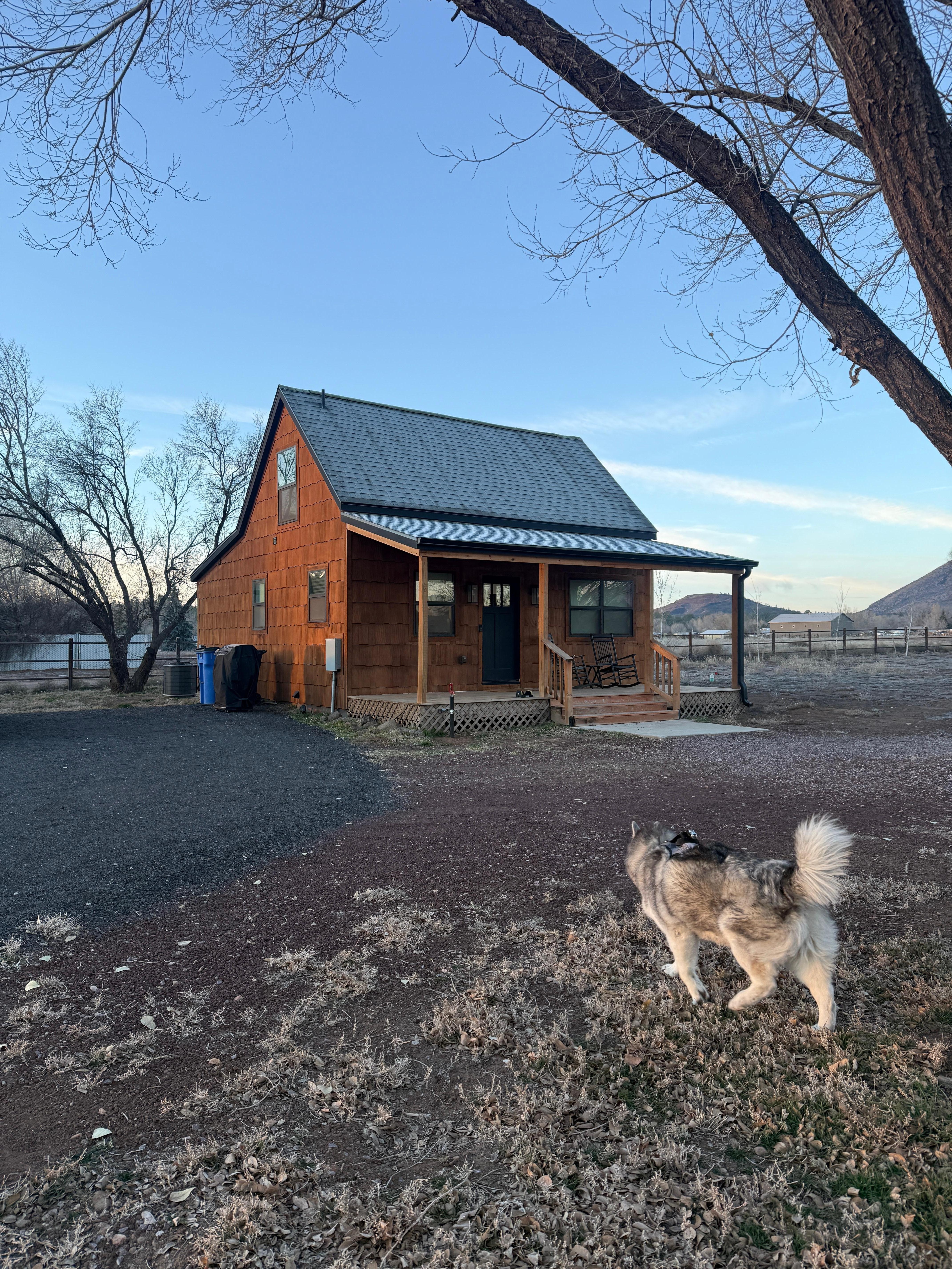Our fur baby checking out the property