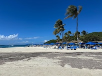 Palamino island