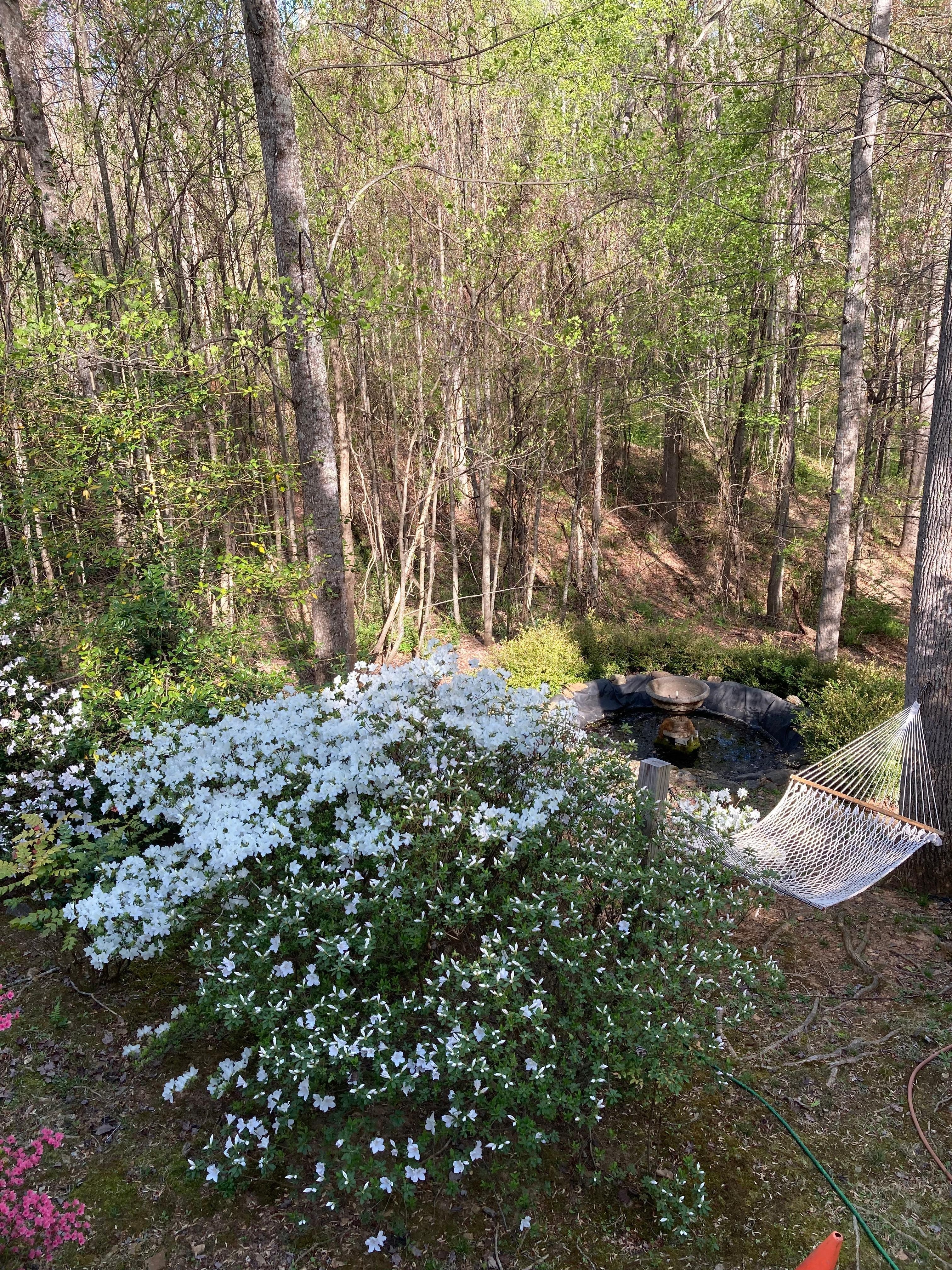 Hammock for relaxing 