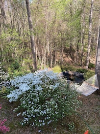 Hammock for relaxing