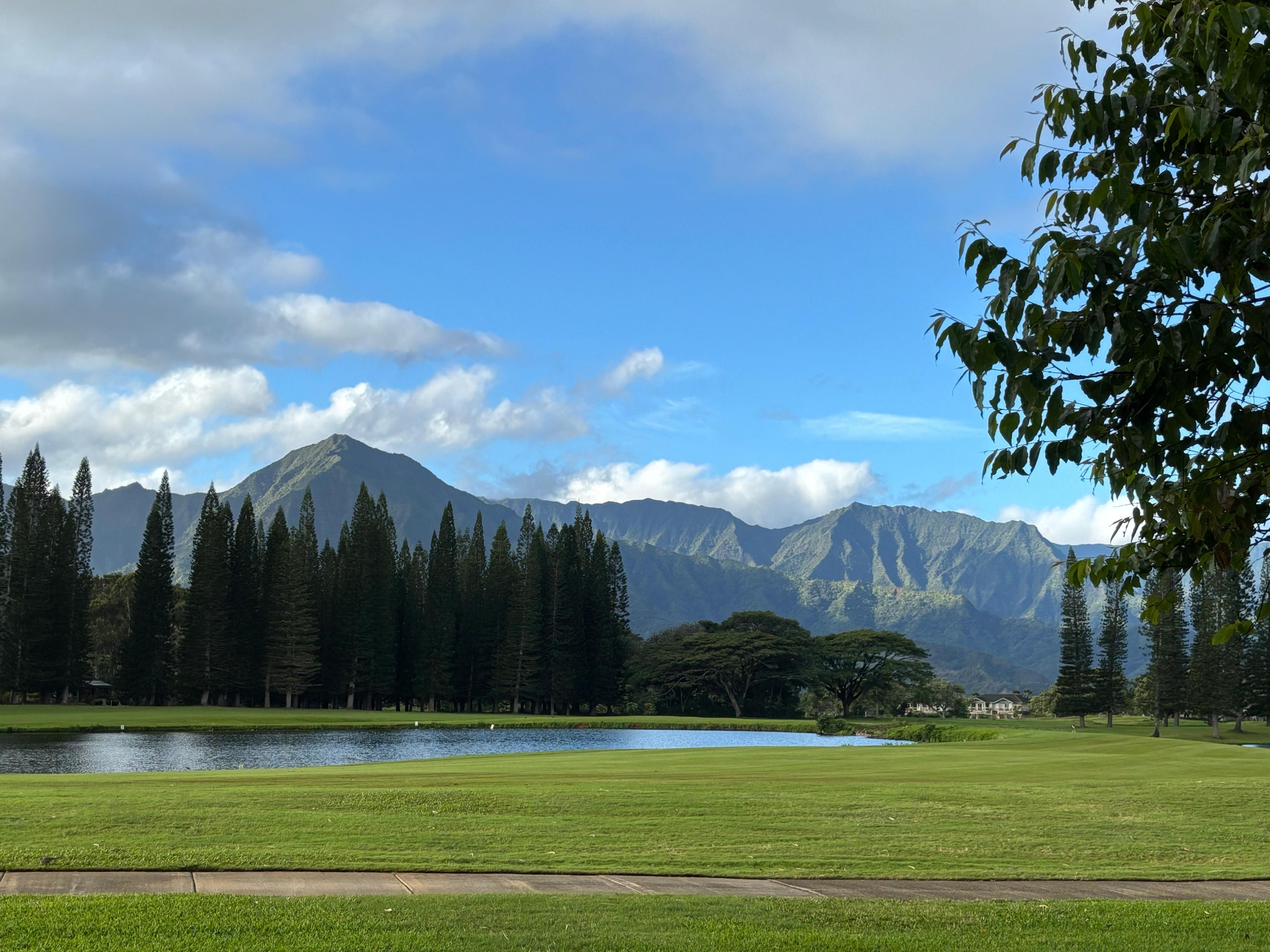 The view on the golf course walk