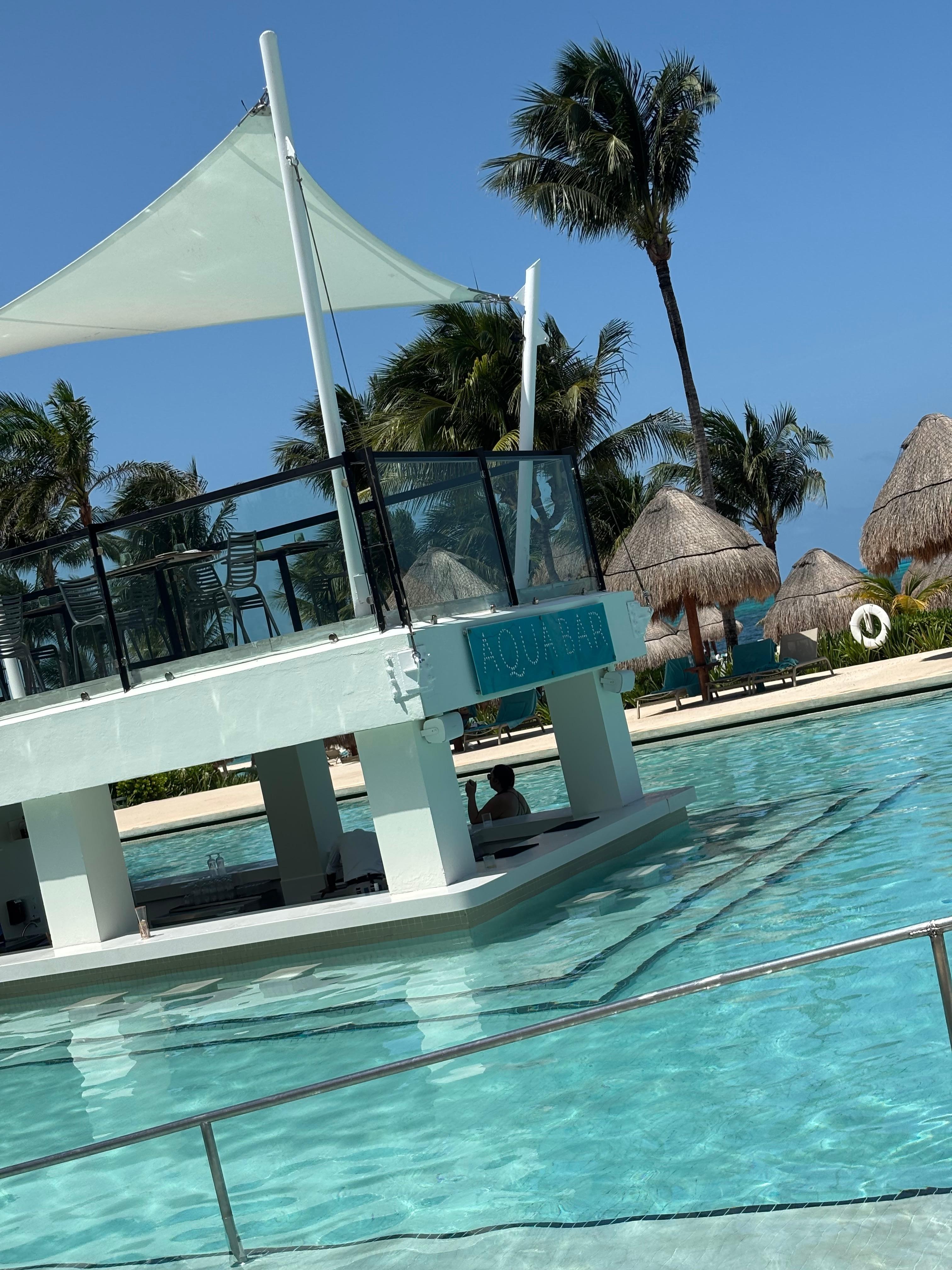 Swim Up Bar
