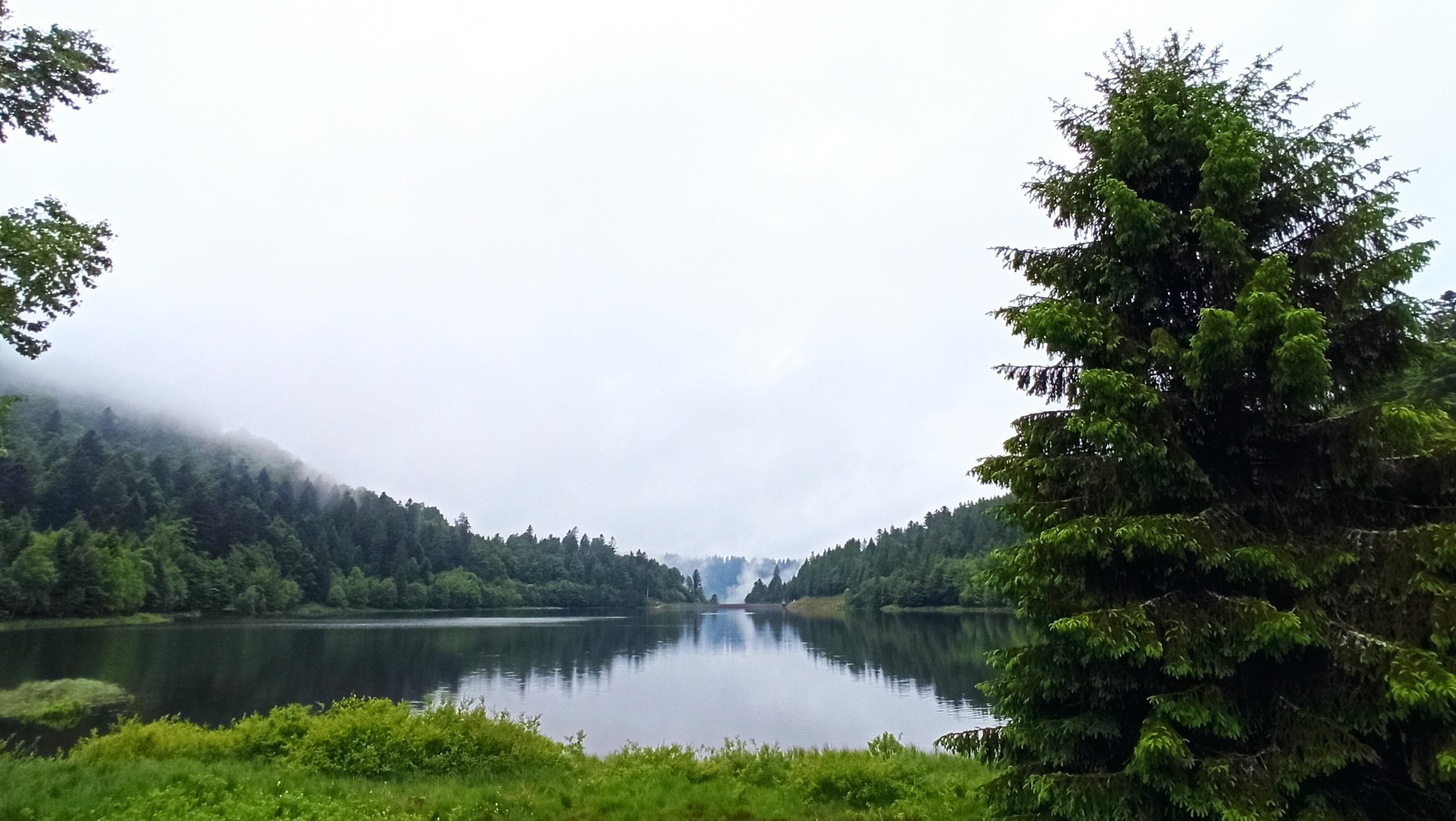 Rund um die Gegend tolle Wanderrouten