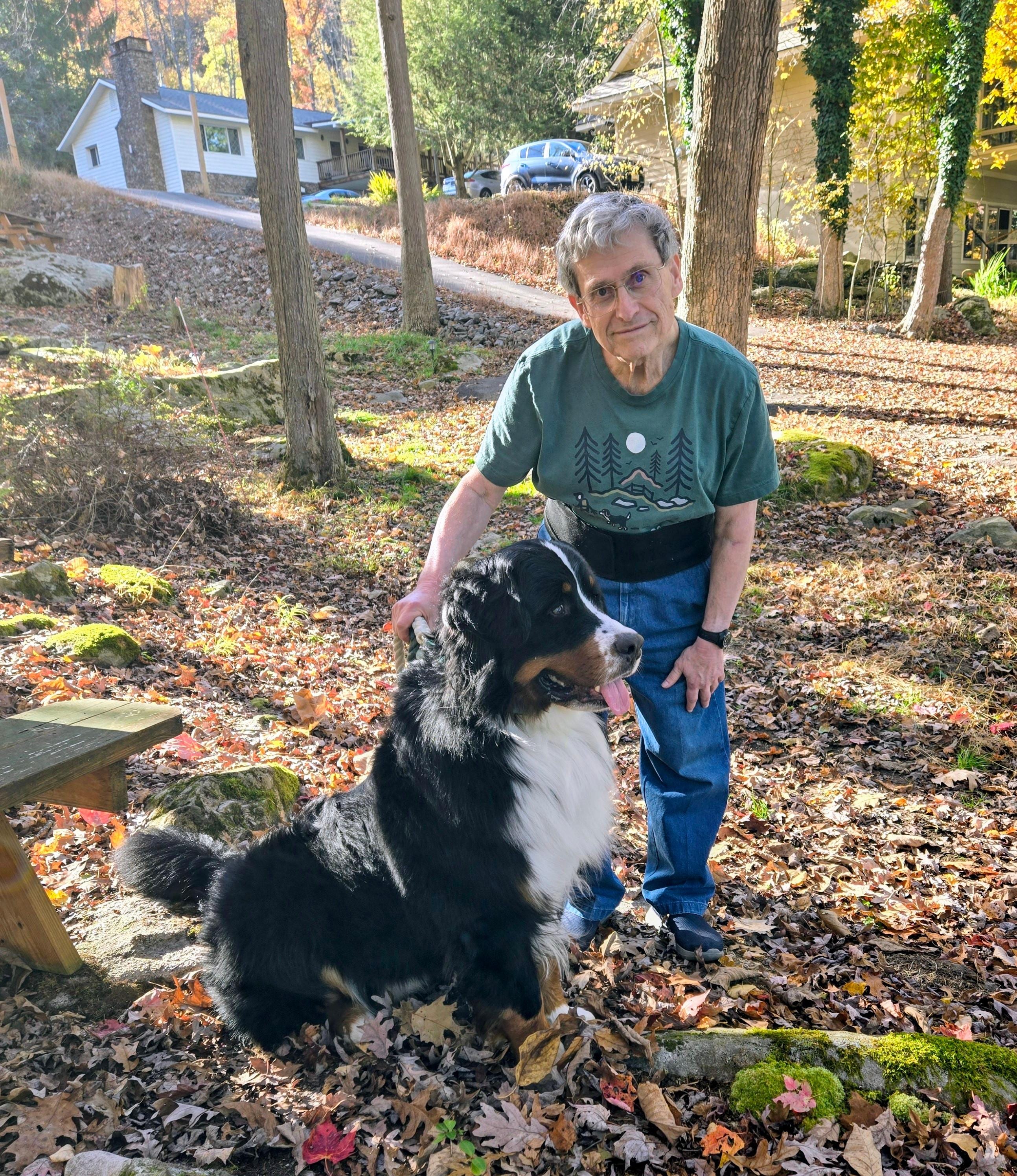 In the easy access to the woods