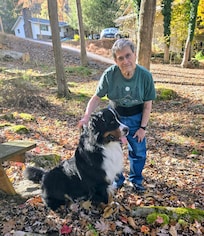 In the easy access to the woods