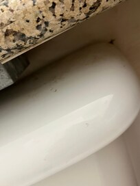 Top of toilet - roach droppings