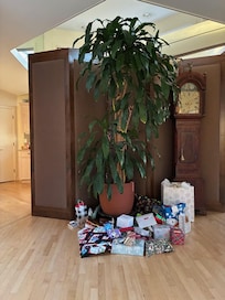 Christmas morning. We're not sure how Santa got in, but he did and found the tree thoughtfully provided by the owner...