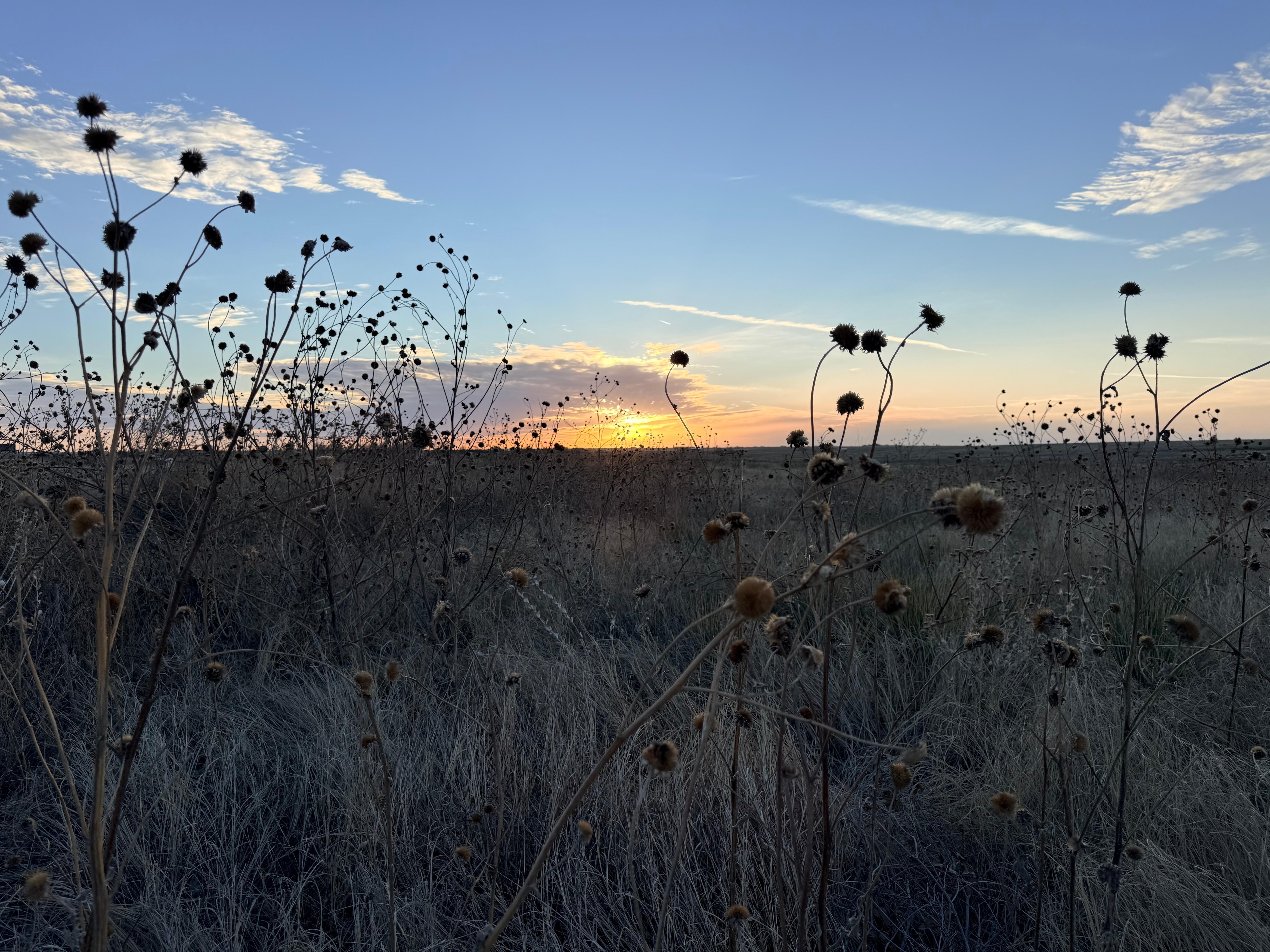 Sunrise from the backyard! 