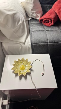 Well thought out power points and nice decorative touches