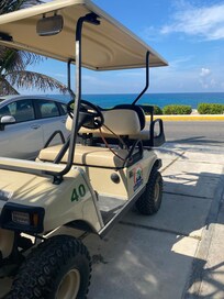 DC Explorers golf cart delivered to our villa on arrival day!