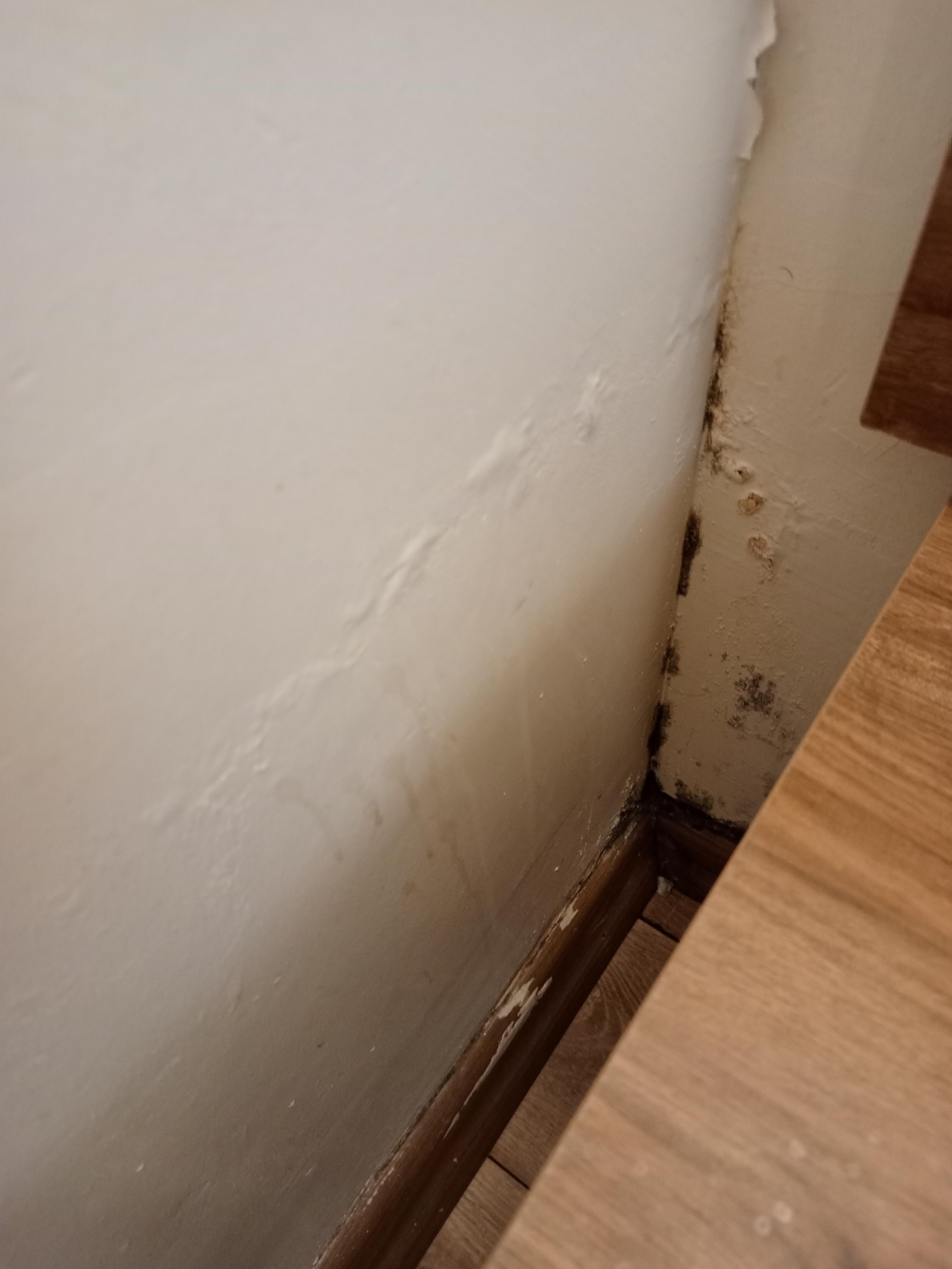 Duvar ve köşelerde küf ve rutubet. 