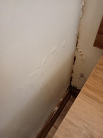 Duvar ve köşelerde küf ve rutubet.