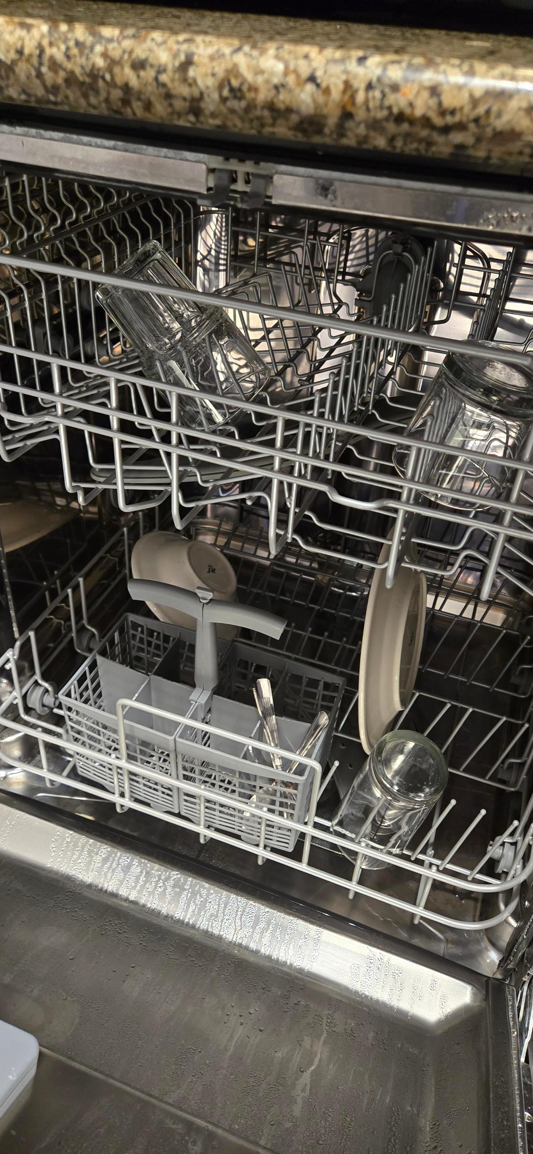 Dishes left in the dishwasher