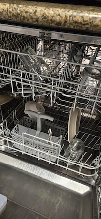 Dishes left in the dishwasher