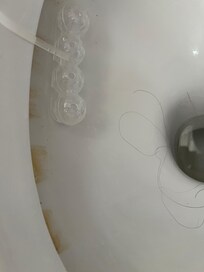 Toilette war sehr schmutzig mit Haaren