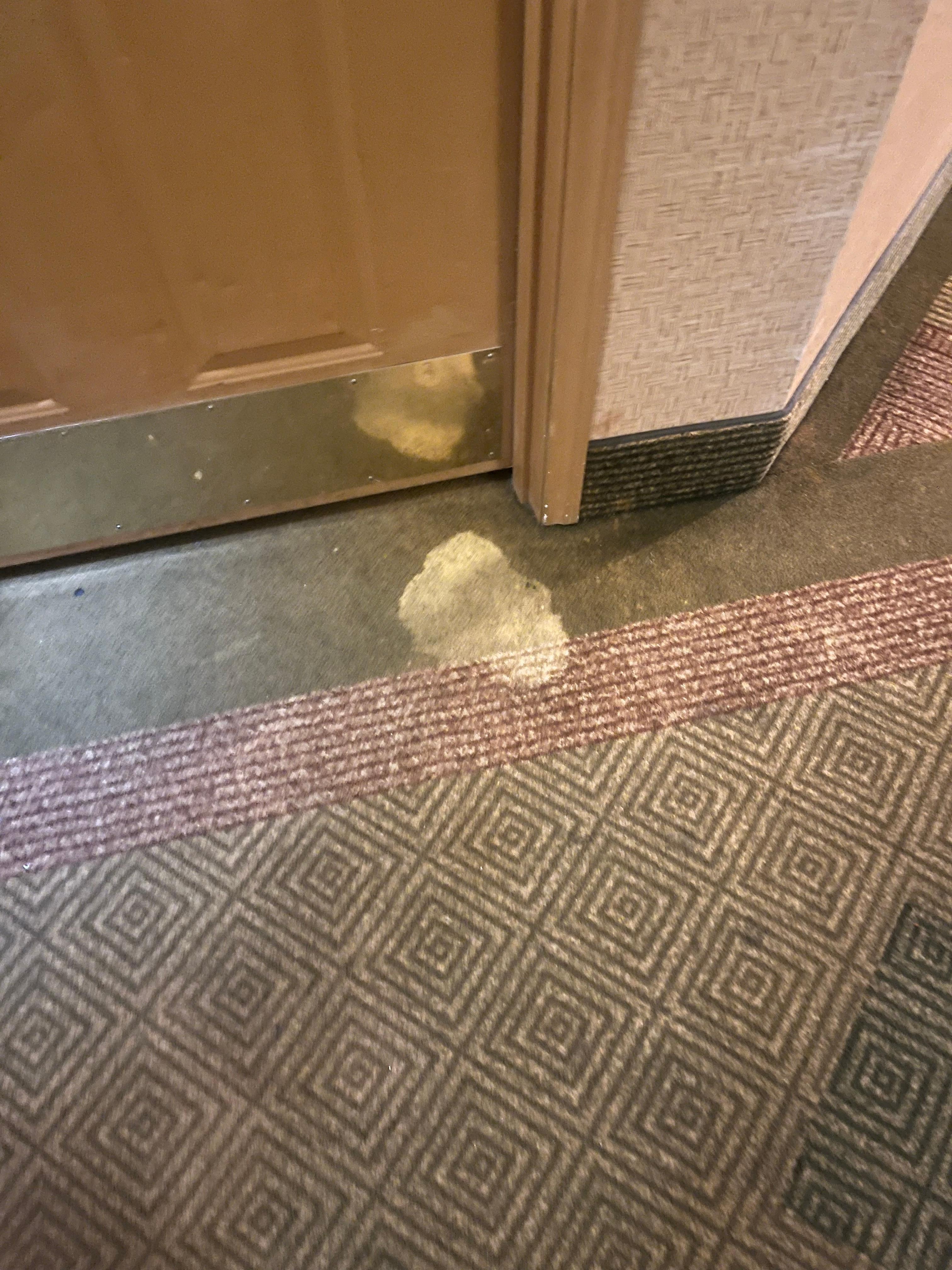 Filthy dirty carpets 