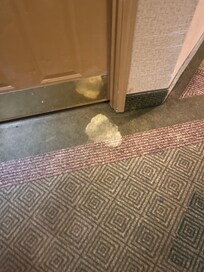 Filthy dirty carpets