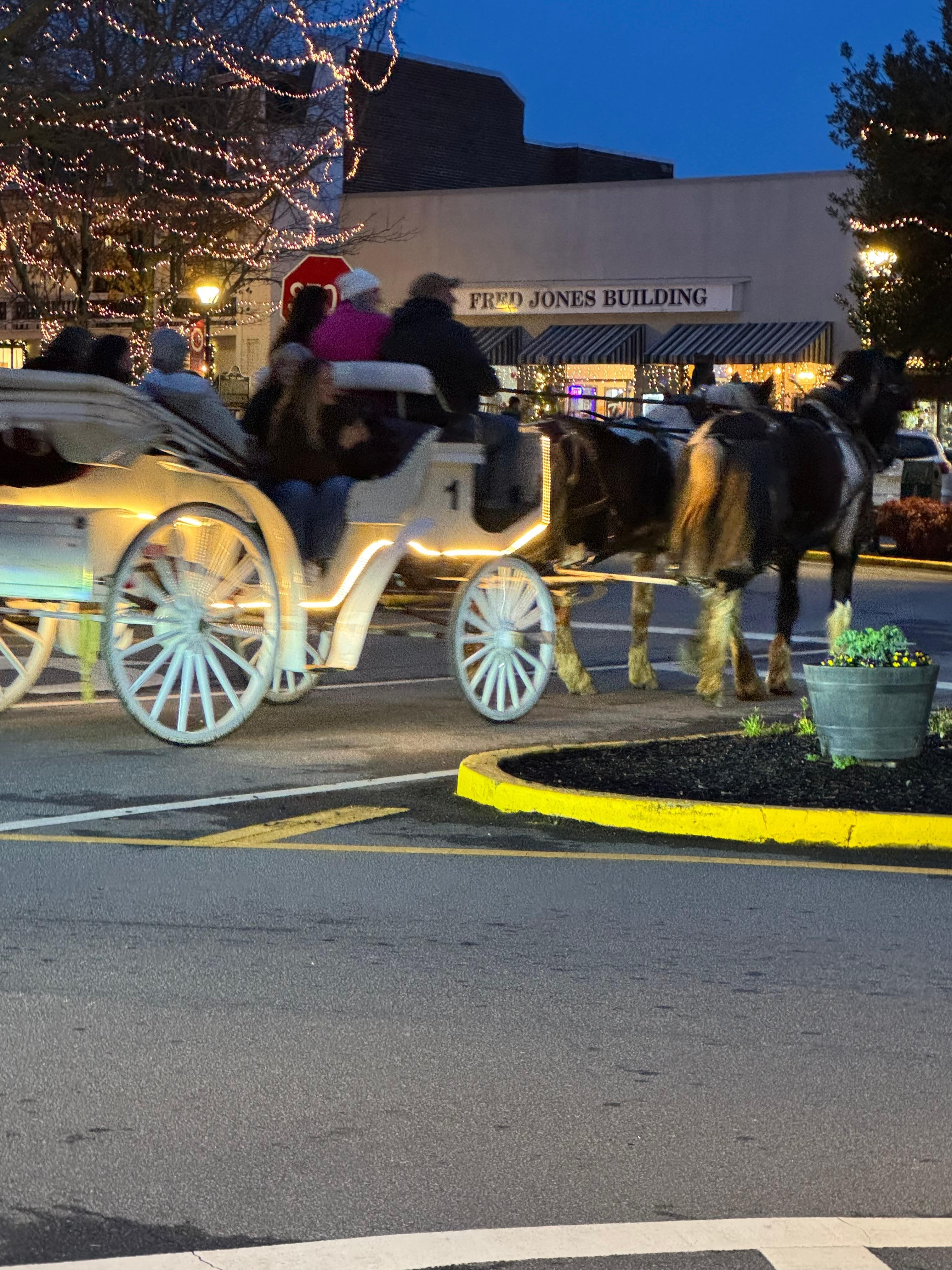 Pictures of Dahlonega at Christmas