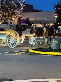 Pictures of Dahlonega at Christmas