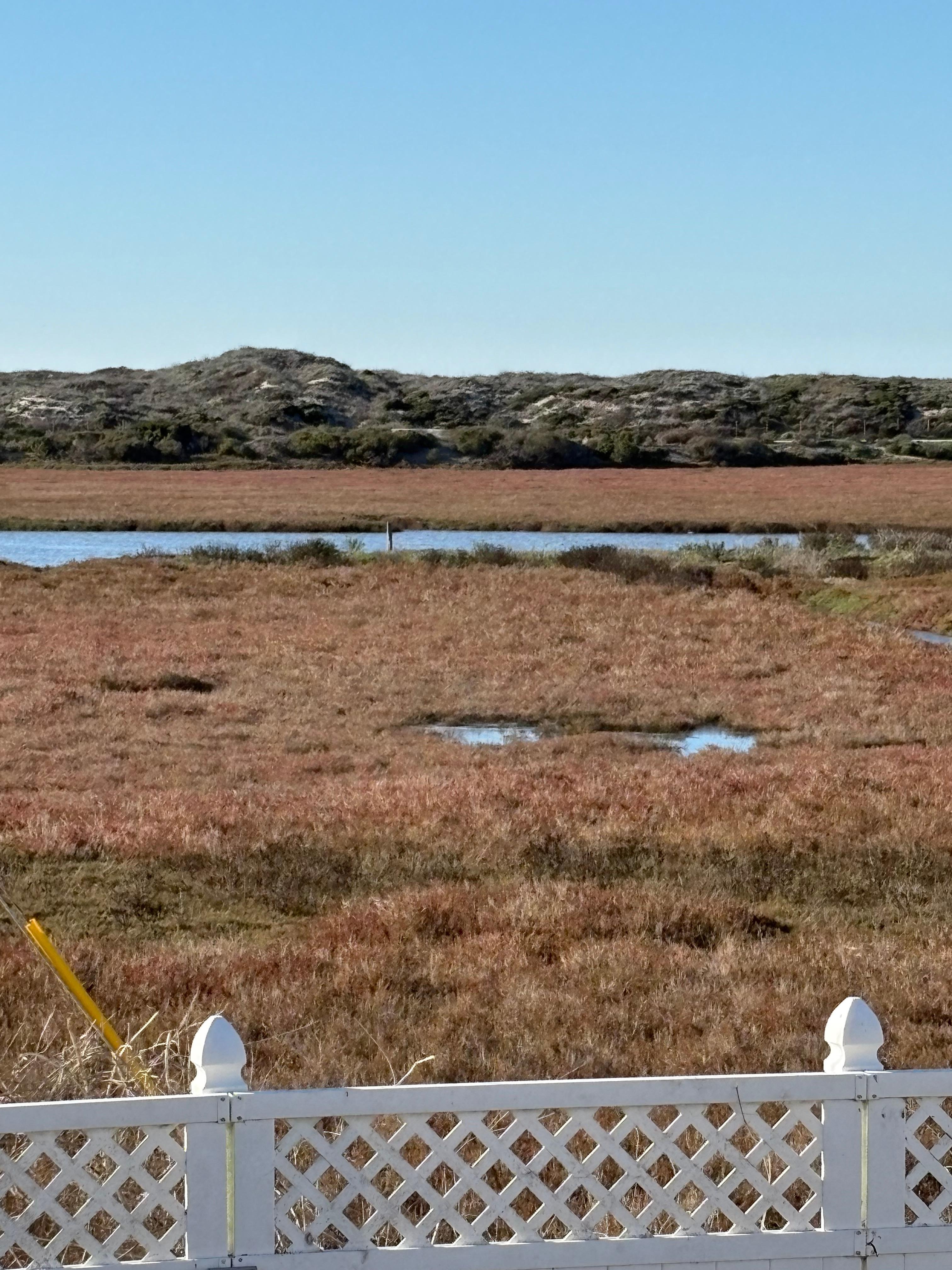 View from back porch