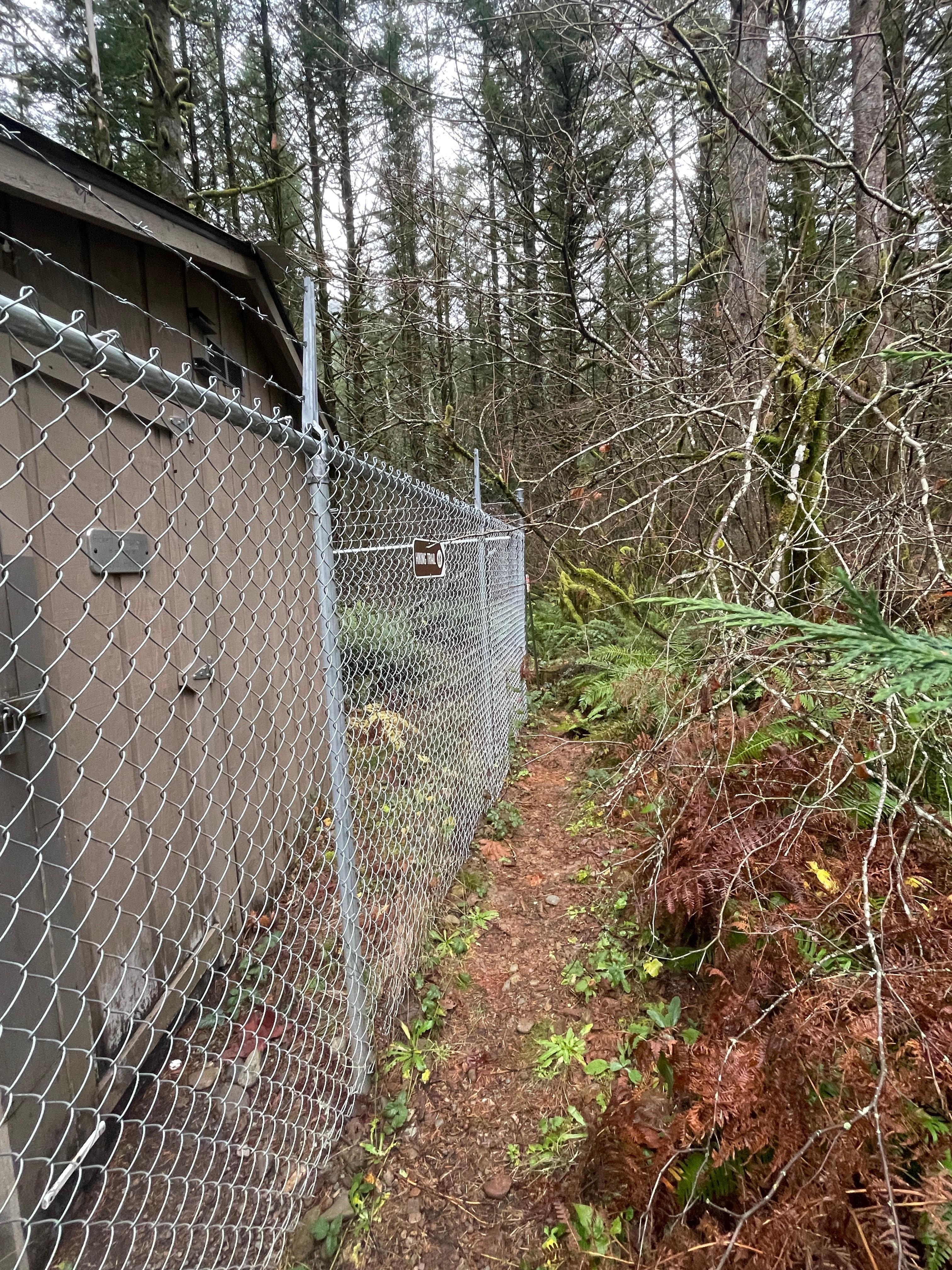 The start of the path leading to the river access