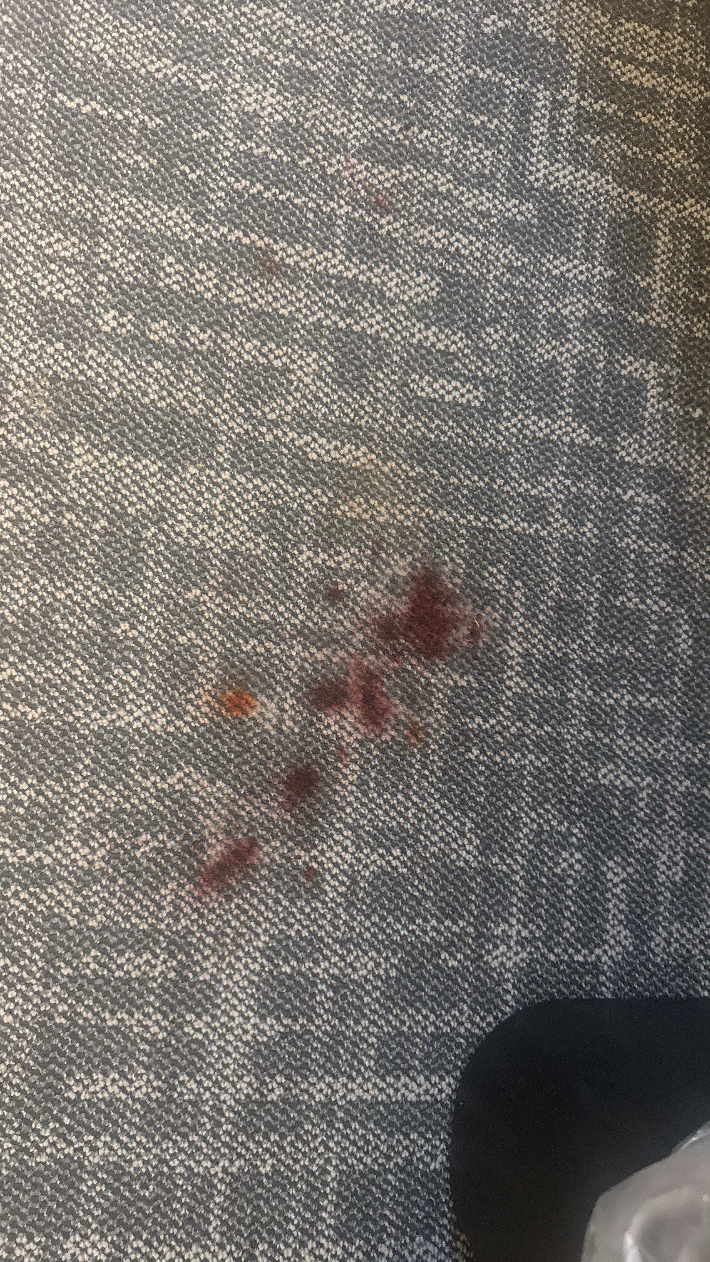 Blood stain on carpet 