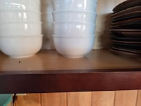 Mouse droppings in cupboard