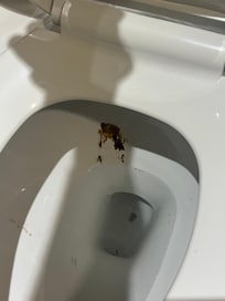 This is how the toilet was when we lifted the lid.