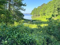 View from a Tee Box