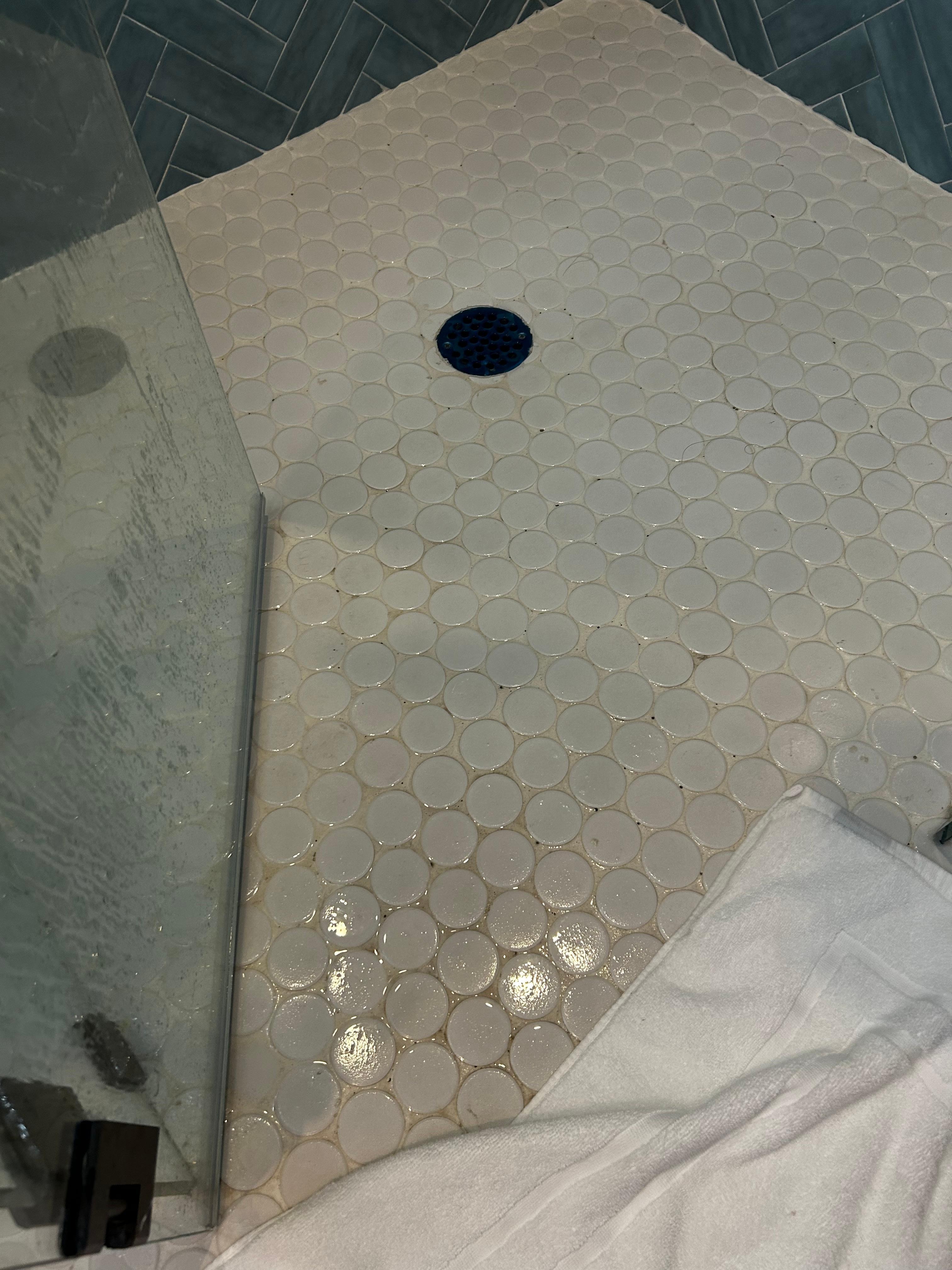 Mold on bathroom floor. 