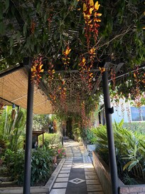 beautiful entry area.