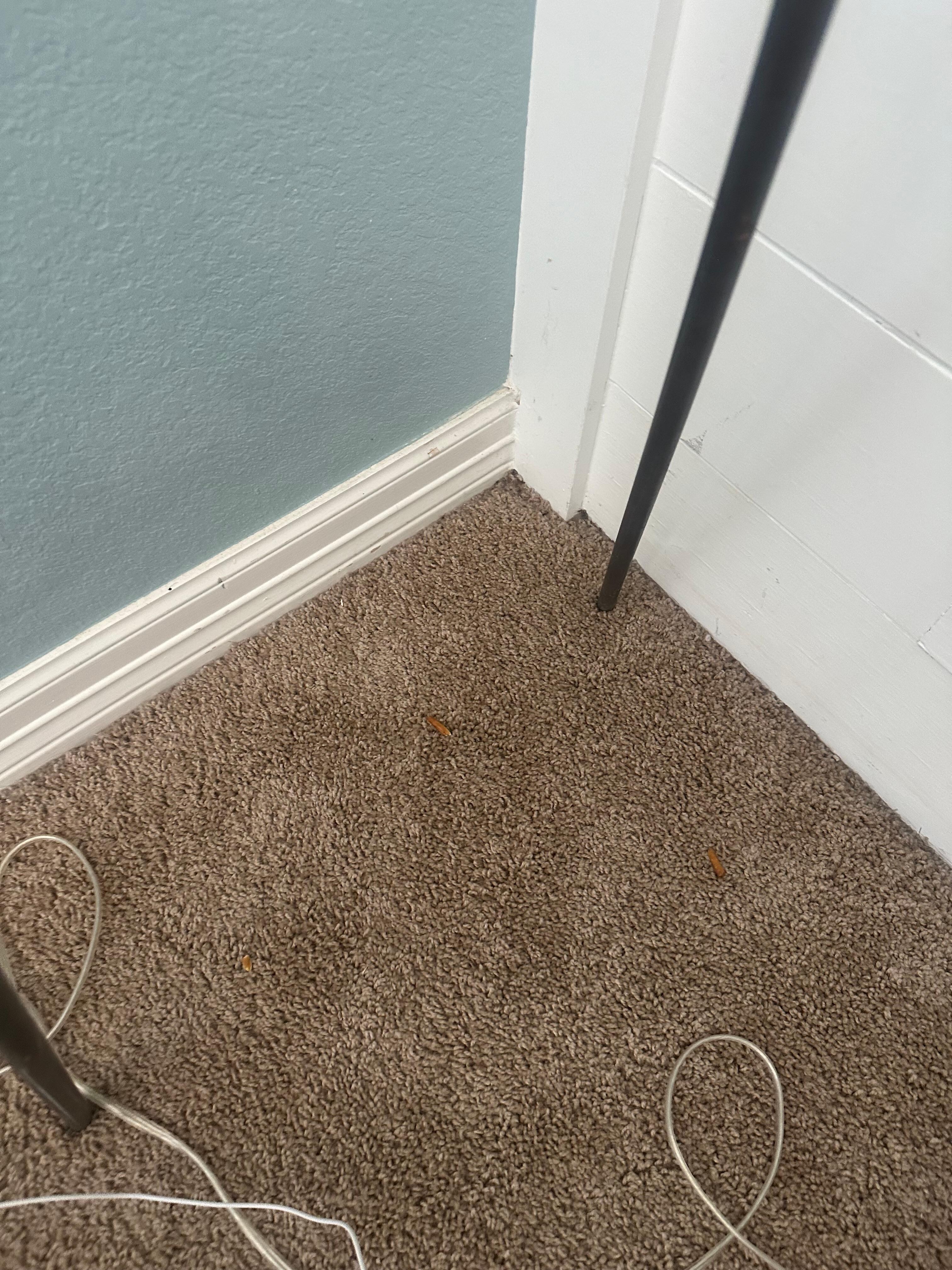 There was trash on the floor
