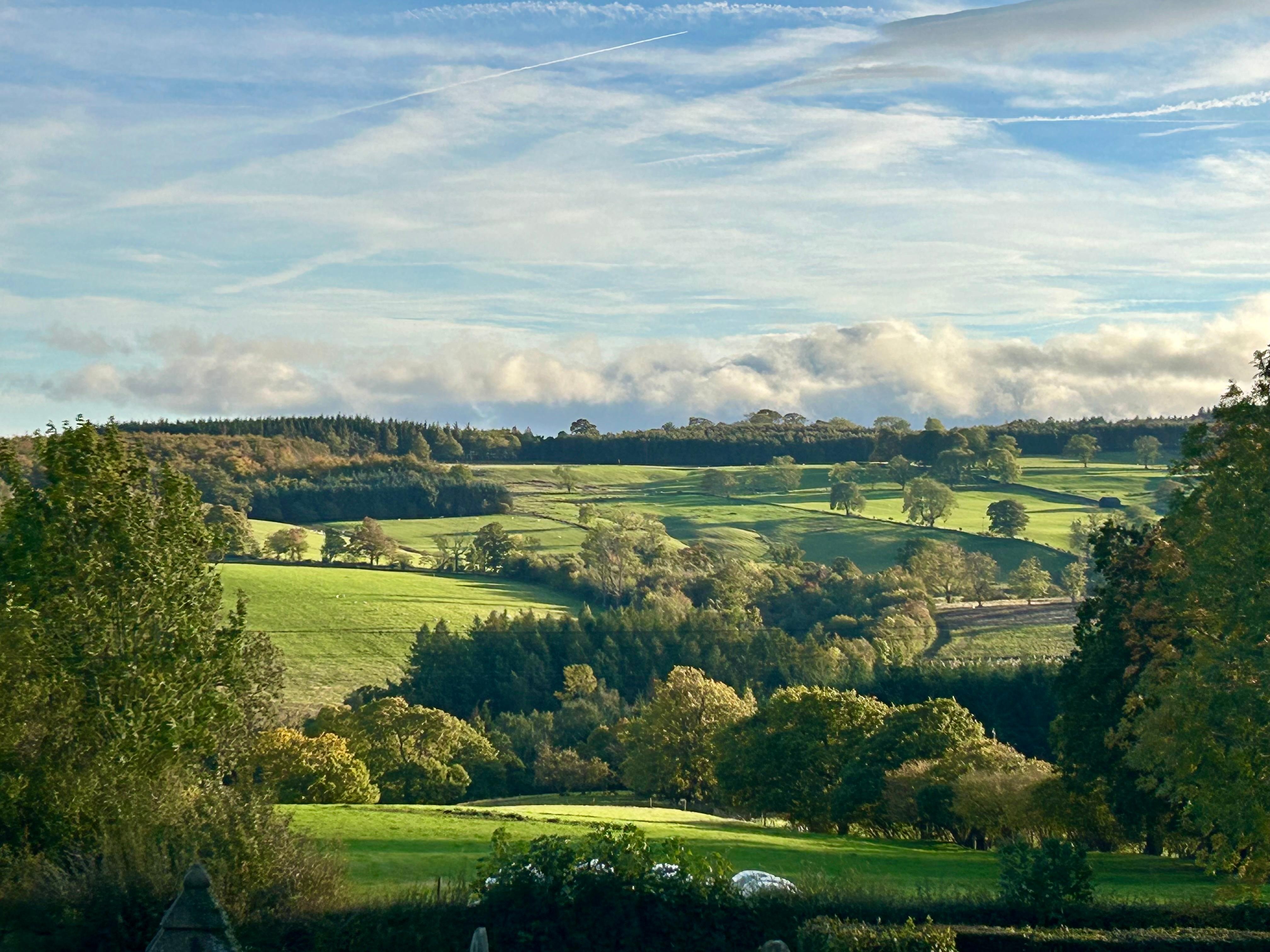 View from the upstairs window in the late afternoon