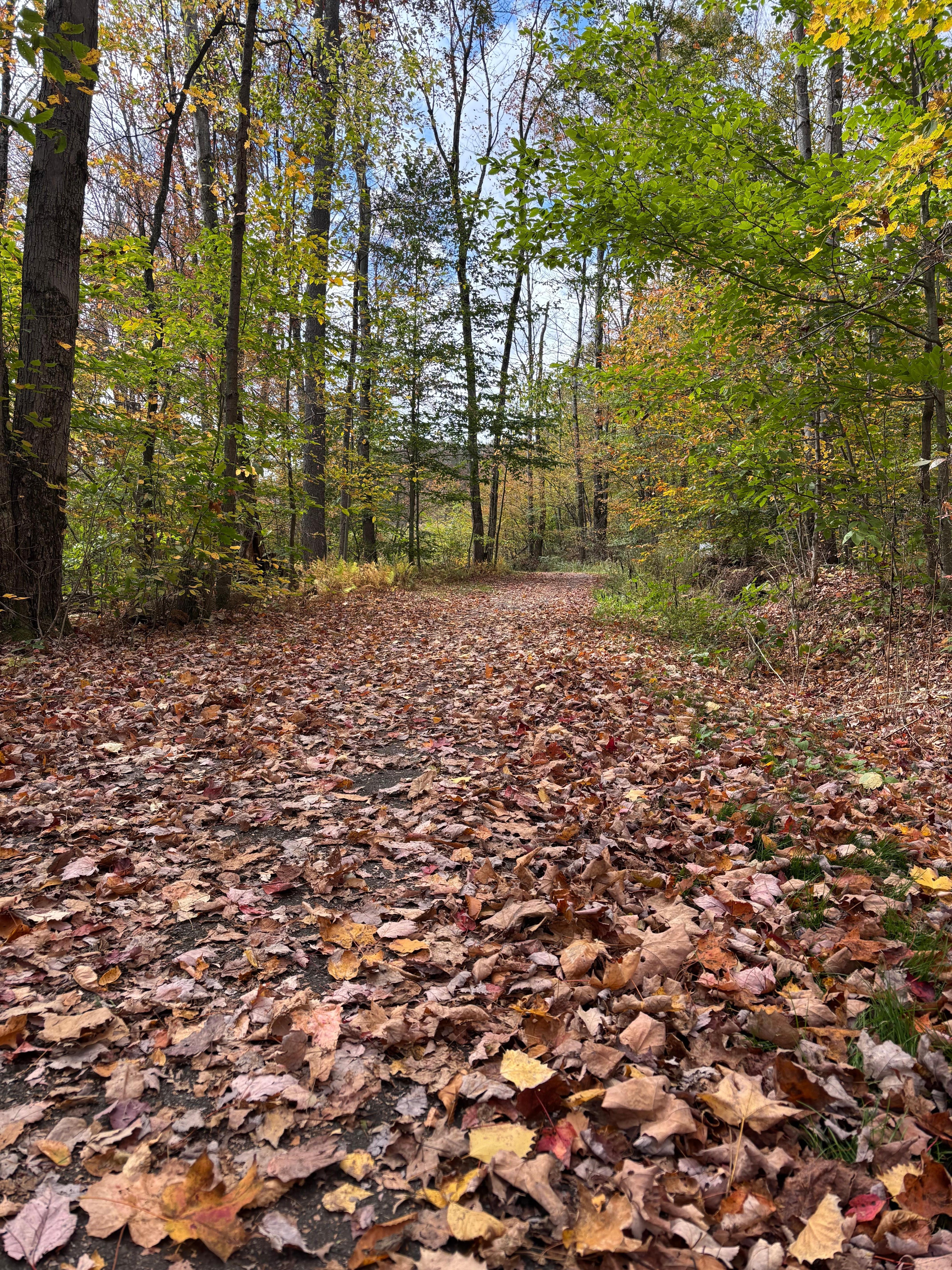 Walking path and Greek Peak