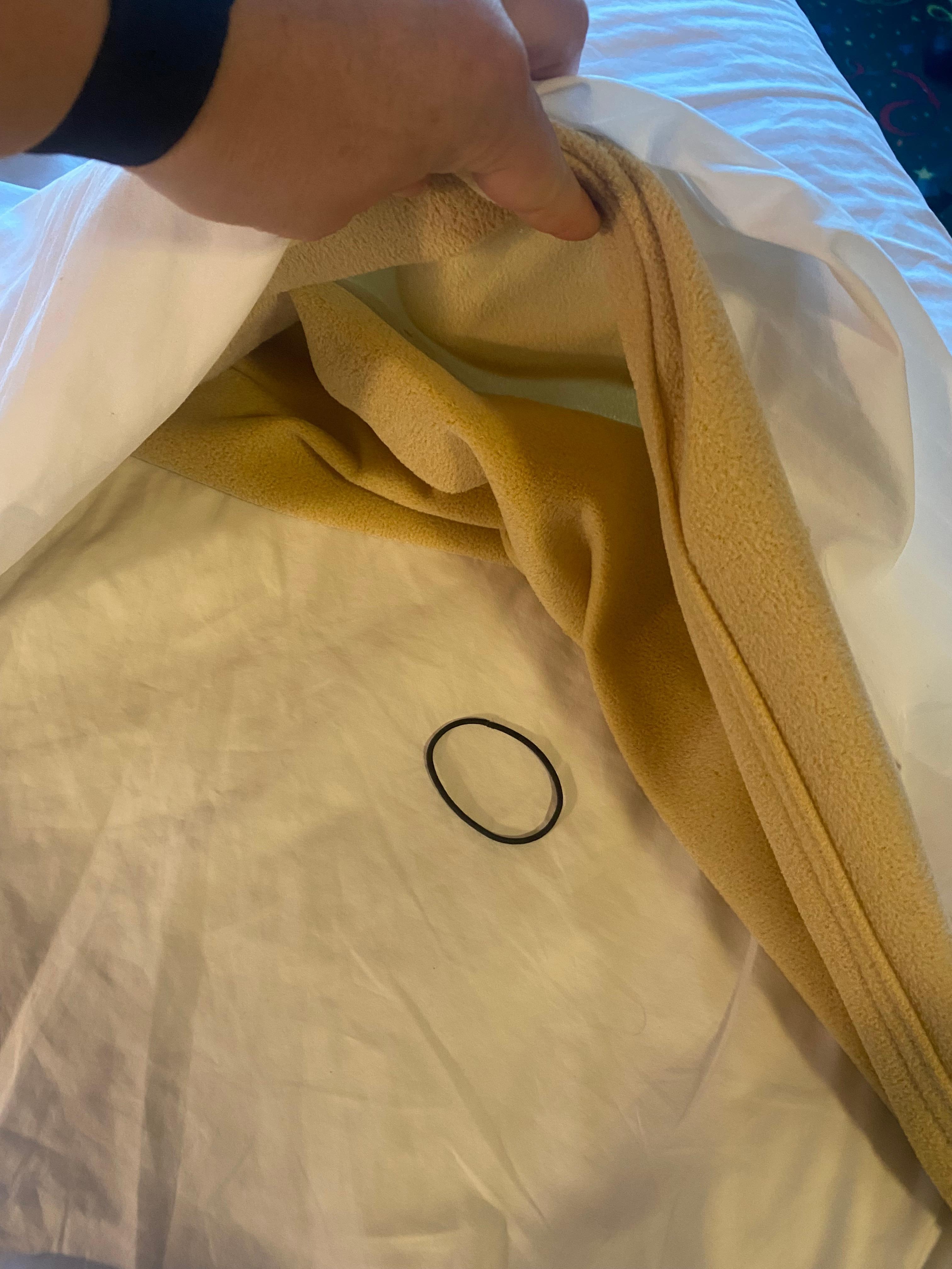 Hair elastic found in the bed when lifting the sheets 