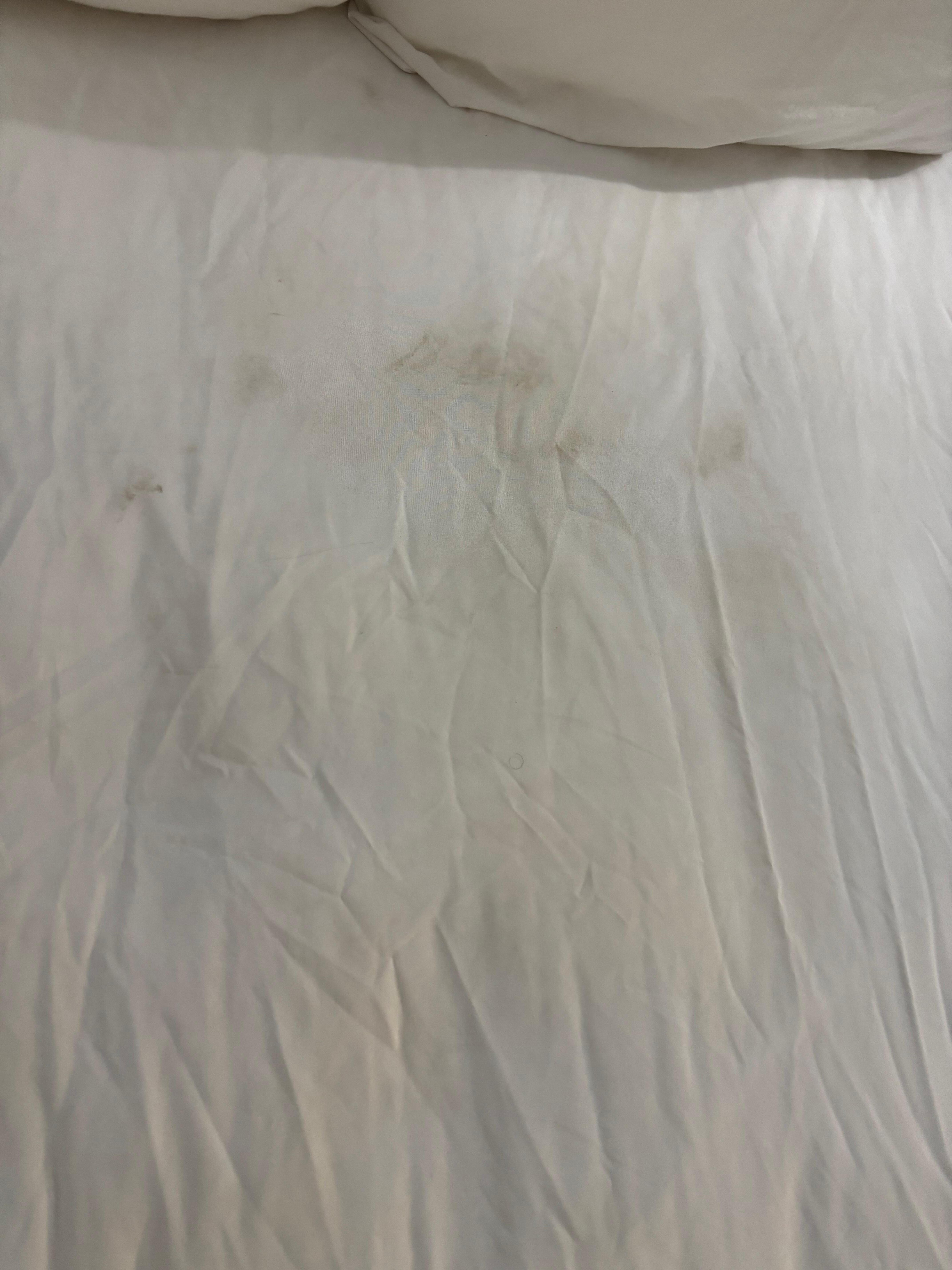 Bed. Where someone’s head/shoudlers/back would lay directly in middle of bed. 