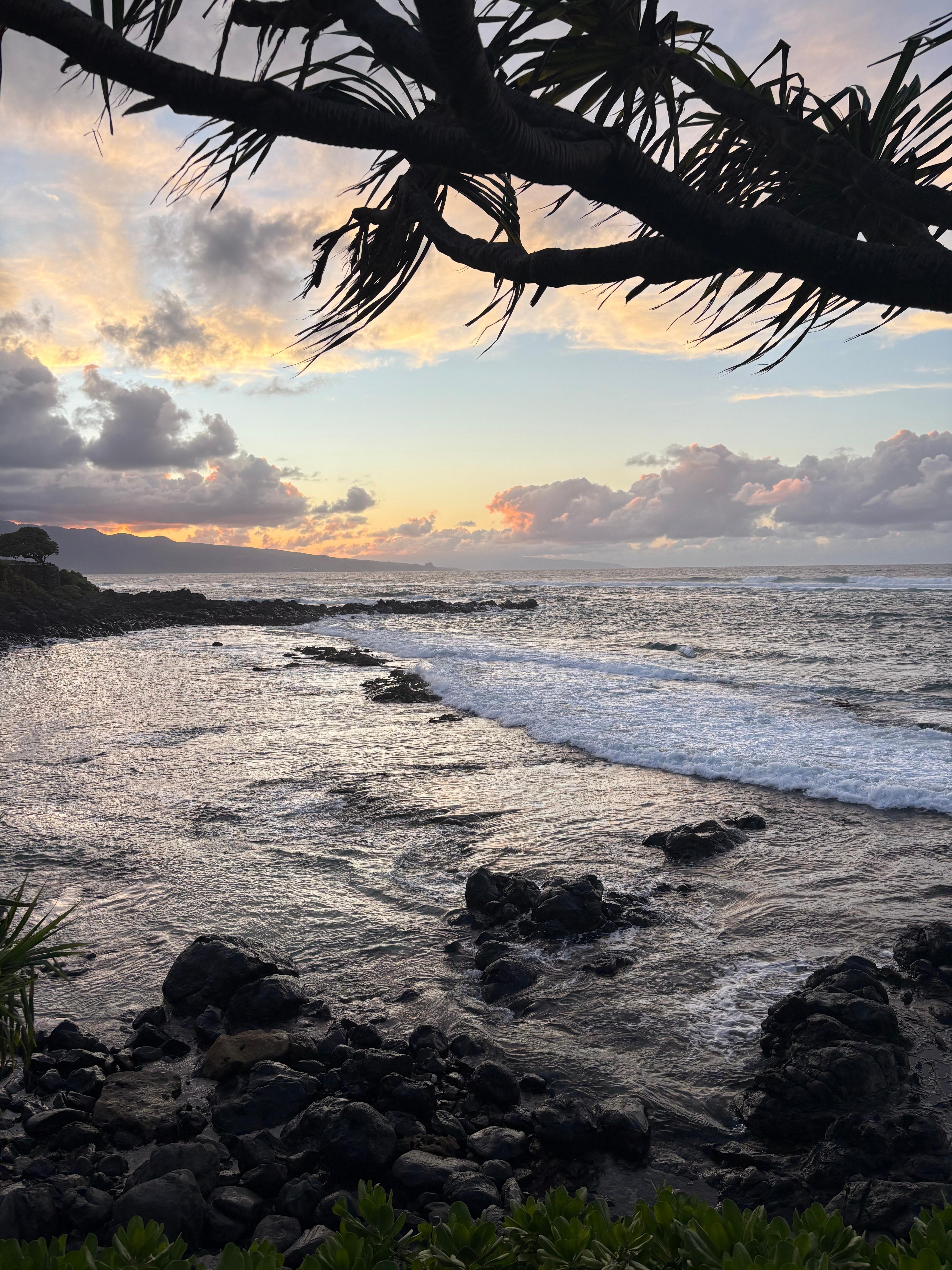 At Mama’s Fish House 