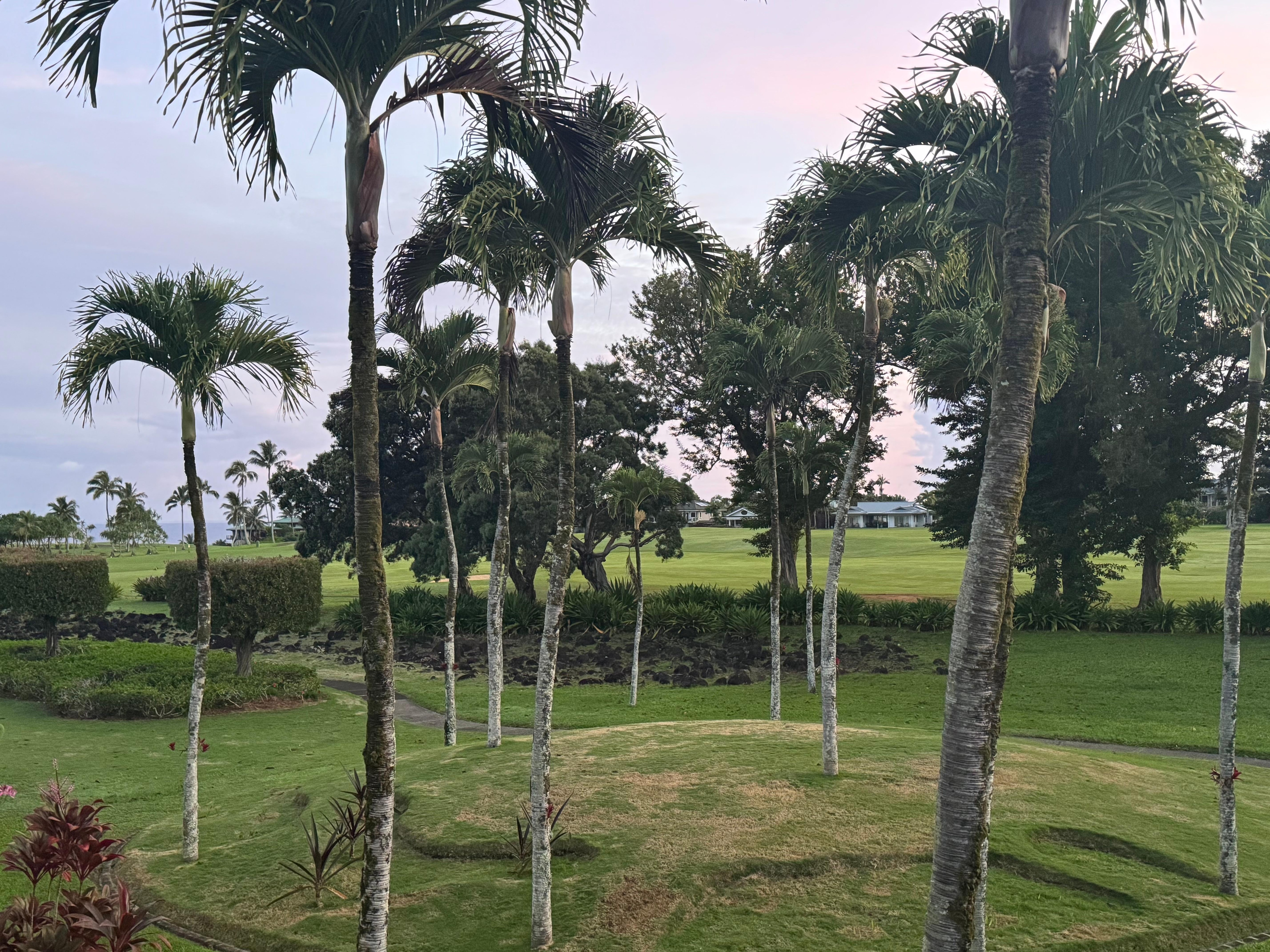 View from the patio.