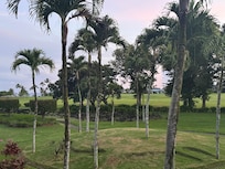 View from the patio.