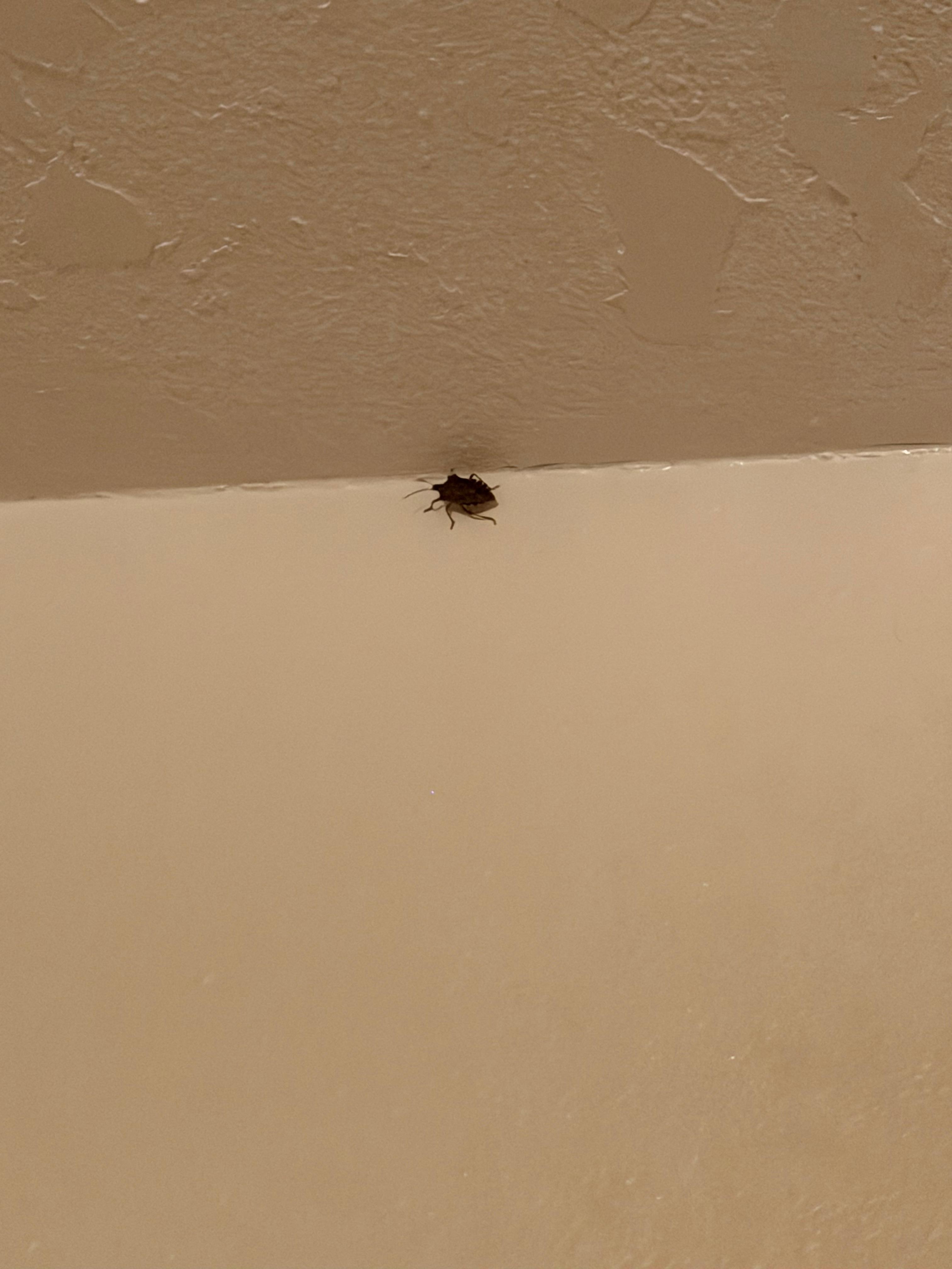 Bug #3. There was a lot more