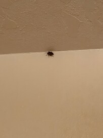 Bug #3. There was a lot more