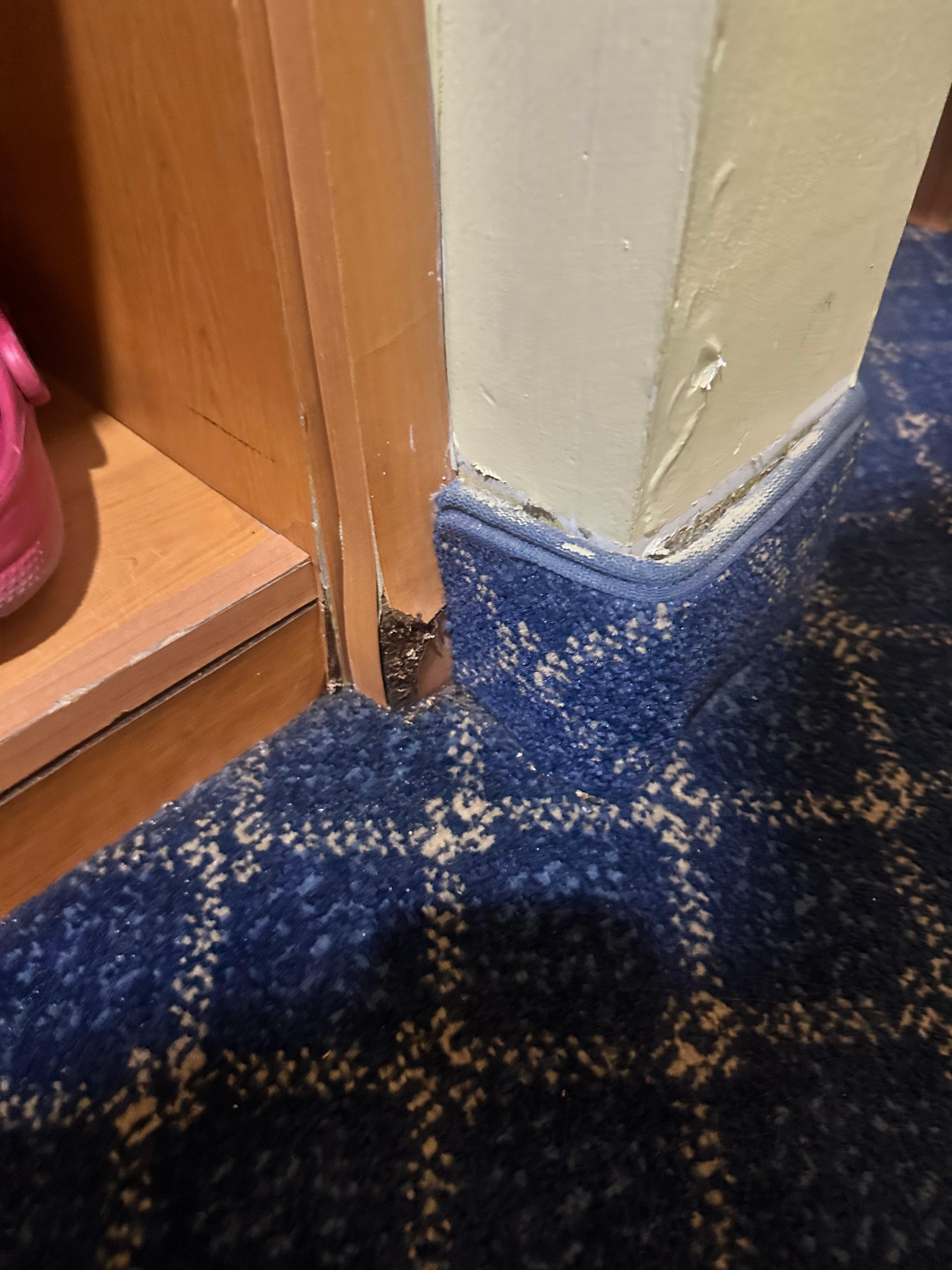 You can see the expanded material from the leak