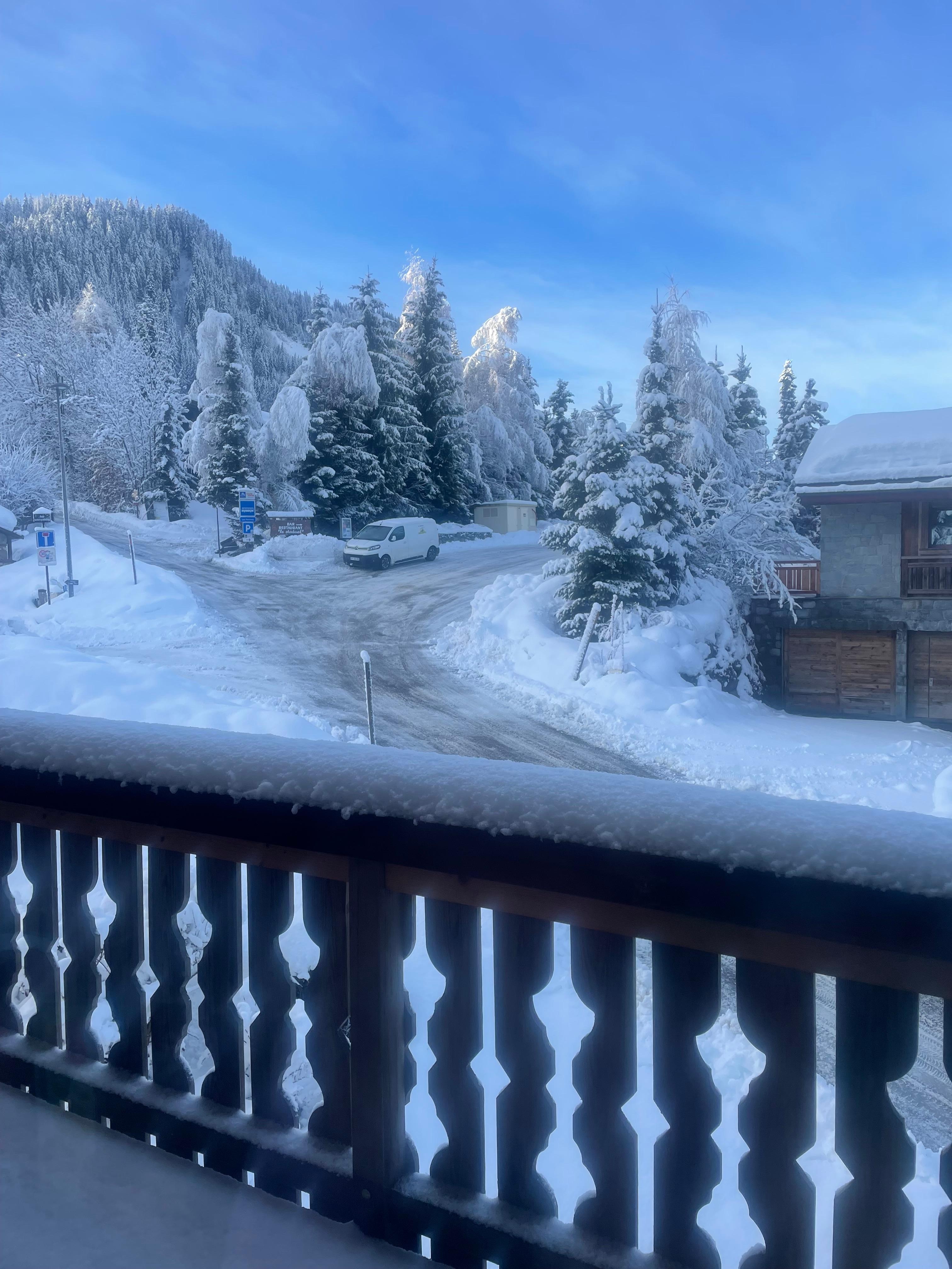 Vue depuis le balcon côté « accès aux pistes »