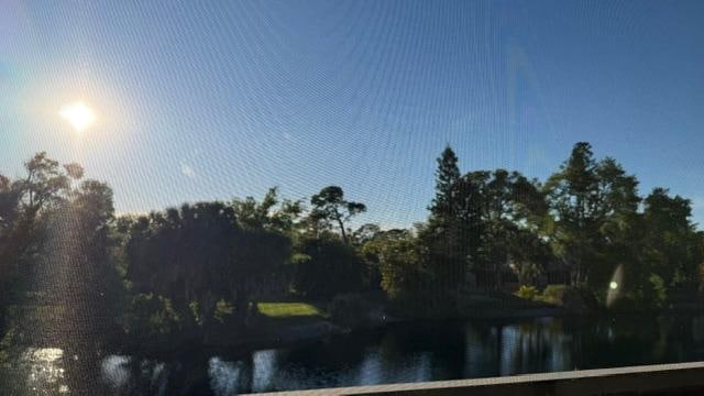 From the screened in porch