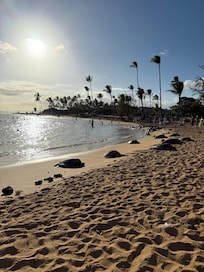 Sea Turtles on Poipu Beach (not even 5 minutes away)