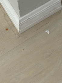 Dirty floors when we arrived