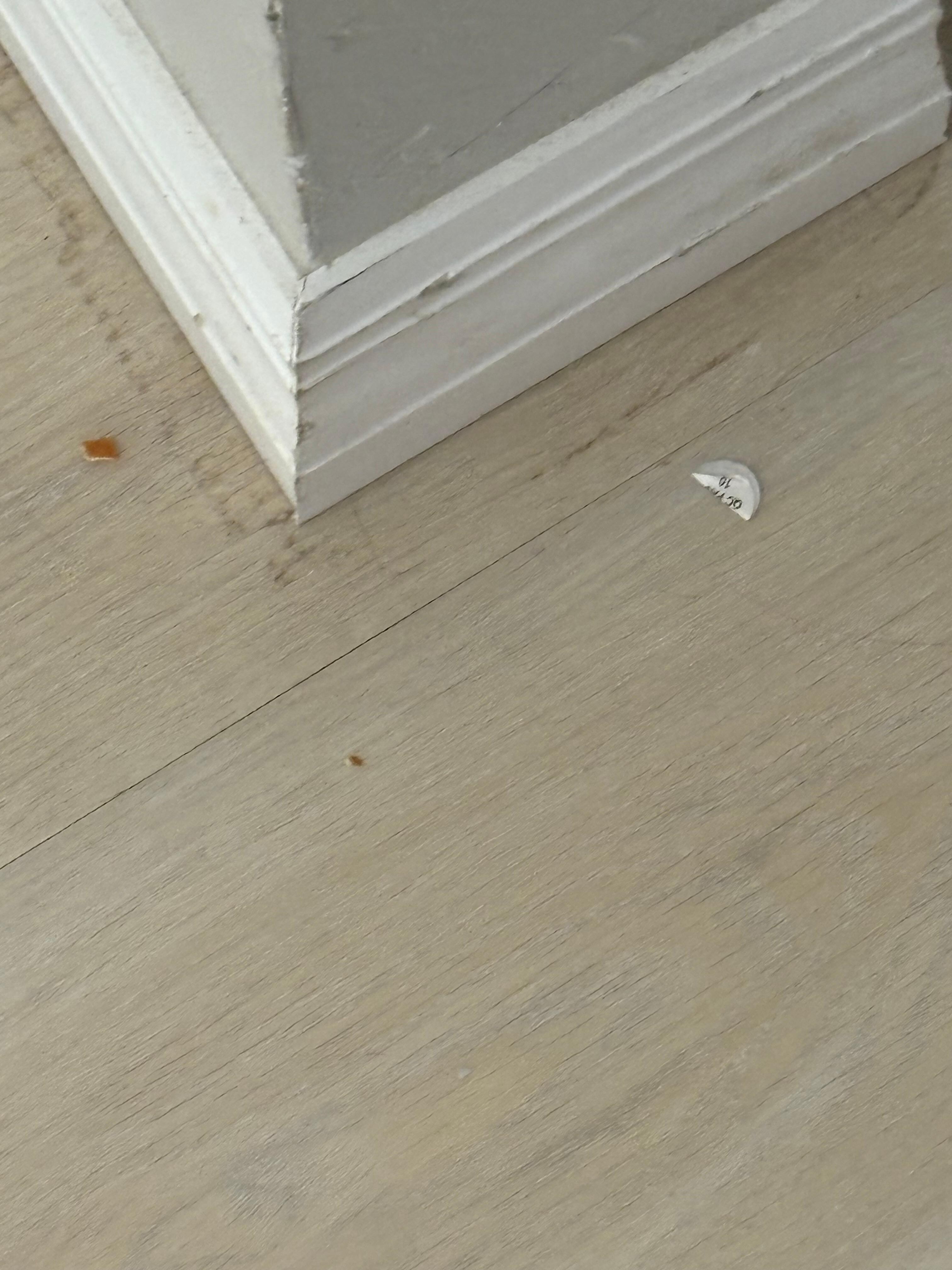 Dirty floors when we arrived 